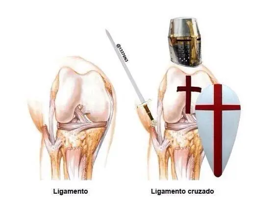 imagenes divertidas