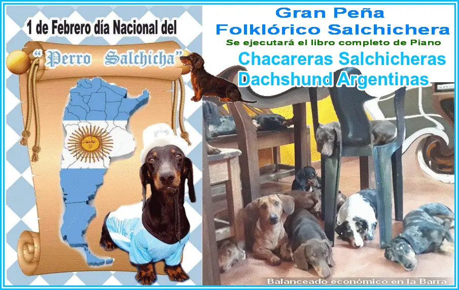 Salchi Pensamientos Dachshund Libro 6 Argentina T