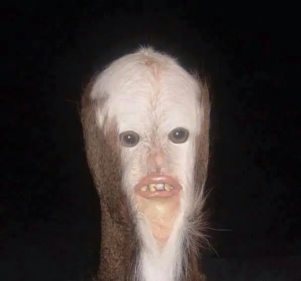 ElQueLeeEstoEsPuto