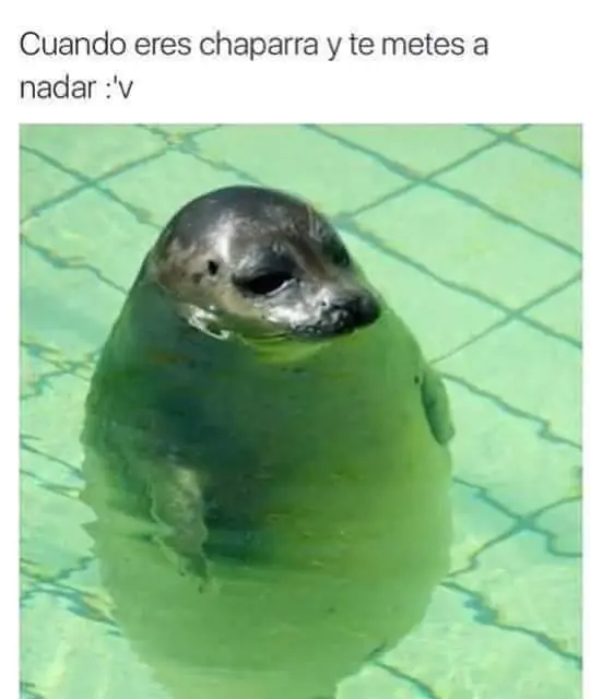 ¿Desvelado? Toma imágenes de humor #26