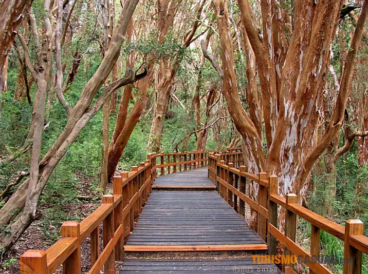 Lugares turísticos que debes visitar de argentina