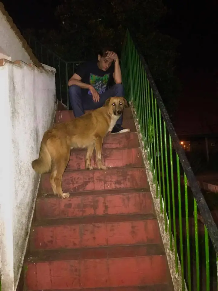 Tronco de los Gumer les desea Feliz Navidad!