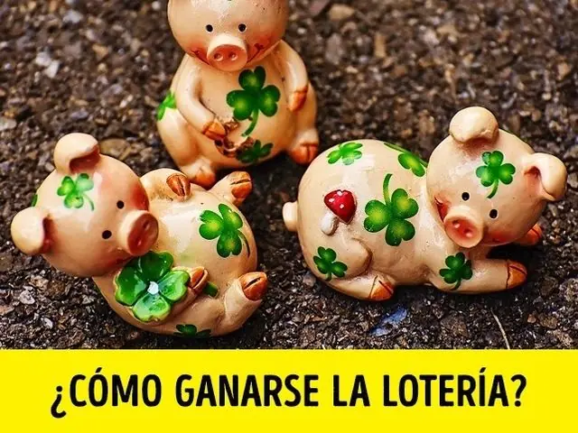 preguntas estupidas