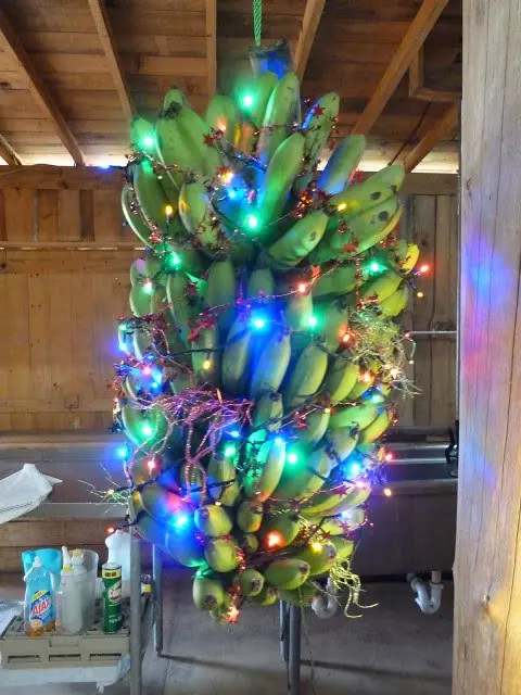 13 Tradiciones navideñas alrededor del mundo