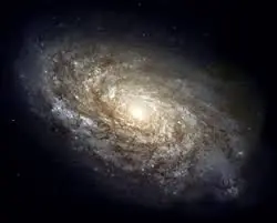 cosmos