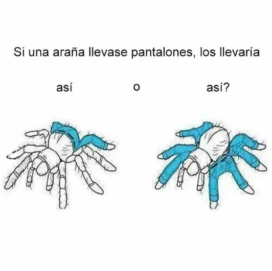 bits
