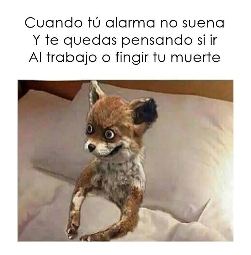 QueBuenPost