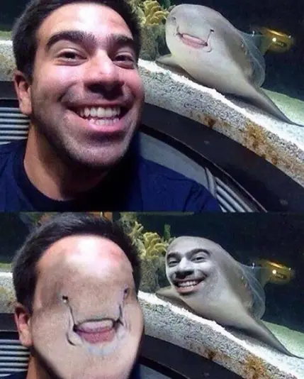 Humor absurdo para pasar el finde, pasa y reite un rato!