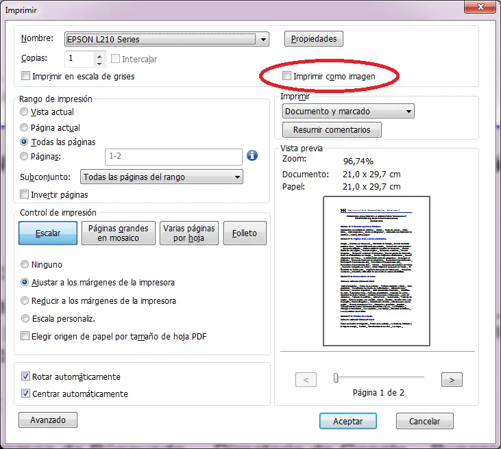 epson l210
