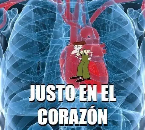 Memes que recolecte durante todo el año pasa turbina eólica