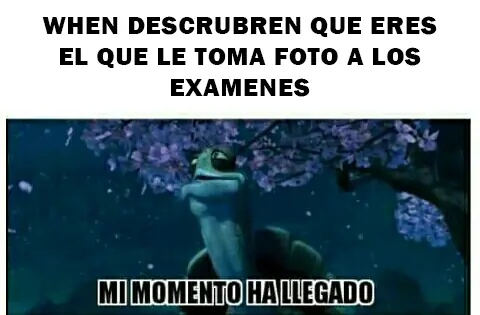 MEMES