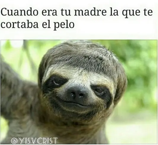 o puntos
