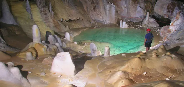 Una bacteria casi indestructible hallada en una cueva