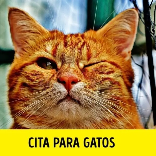 actualidad