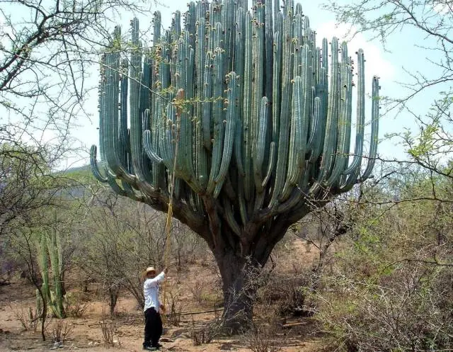 imagenes graciosas