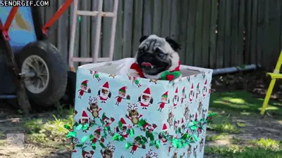 navidad 2016
