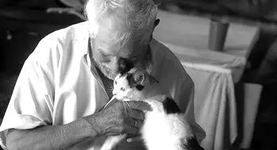 animales