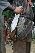 scutum