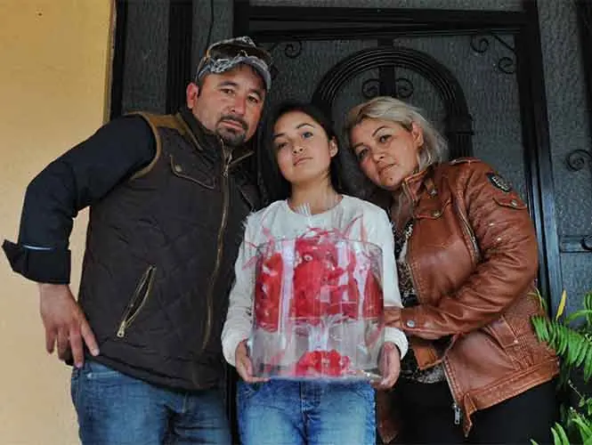 artistas artistas