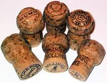 Pasa y entendamos a las mujeres, o por lo menos intentemos