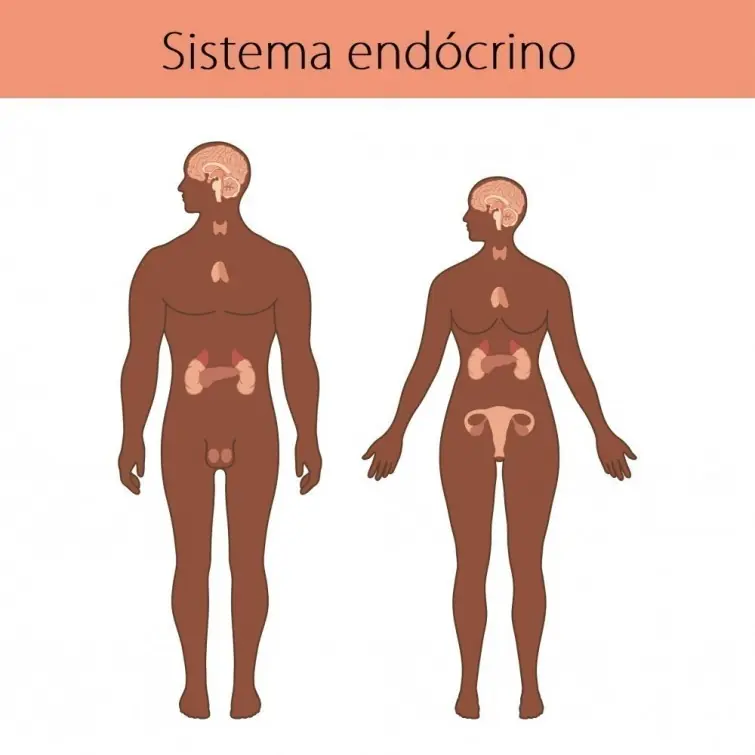 6 alimentos