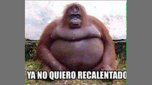 memes
