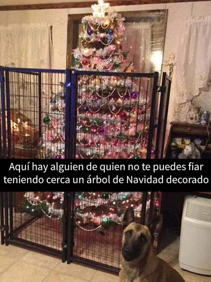 15 Divertidas publicaciones navideñas, imposible no reírse