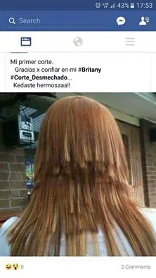sociales