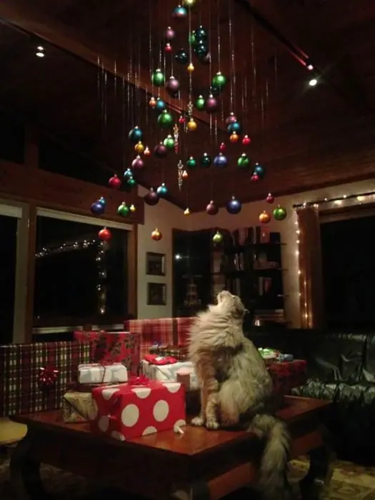 Formas de cómo alejar a sus mascotas del árbol de Navidad