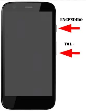 revivir