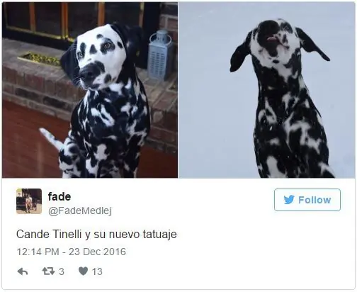Los Memes del nuevo tatuaje de Cande Tinelli