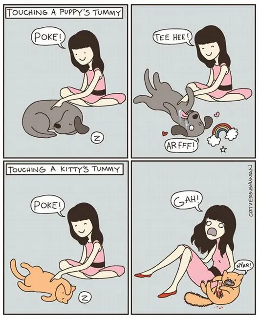 Perro o gato?El animal preferido revela nuestra personalidad