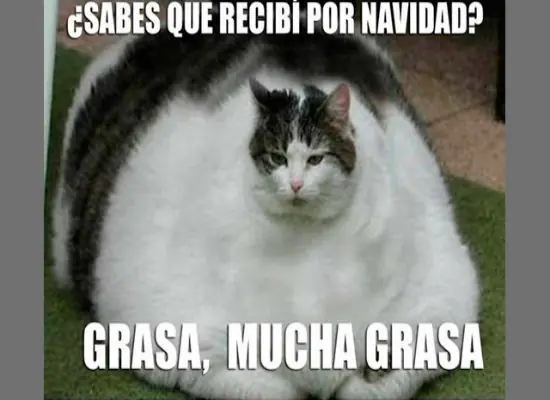 recalentado