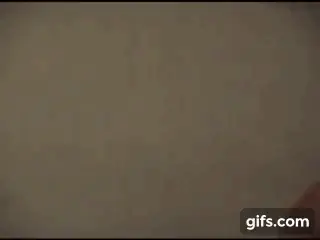 crazyfrogpicardia