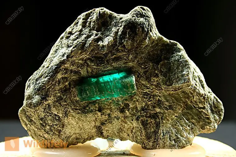 piedra piedra