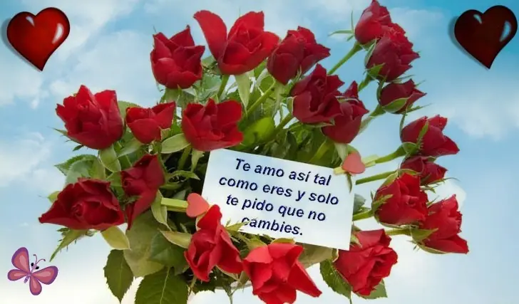 anota
