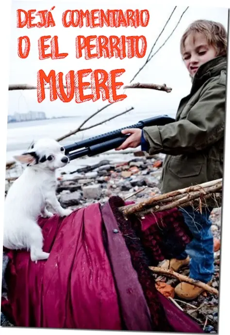 Mix de fotos (Humor y WTF)