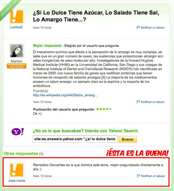 Preguntas estupidas