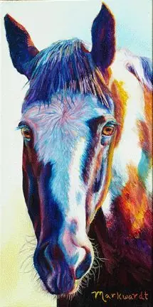 burro
