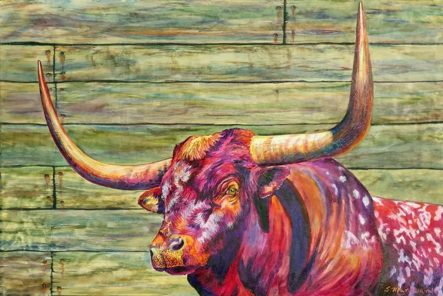 bisonte