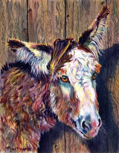 caballo