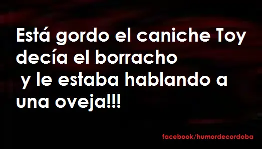 Humor...Megapost...Ochooo