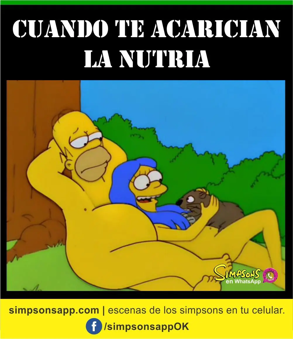 whatsapp whatsapp
