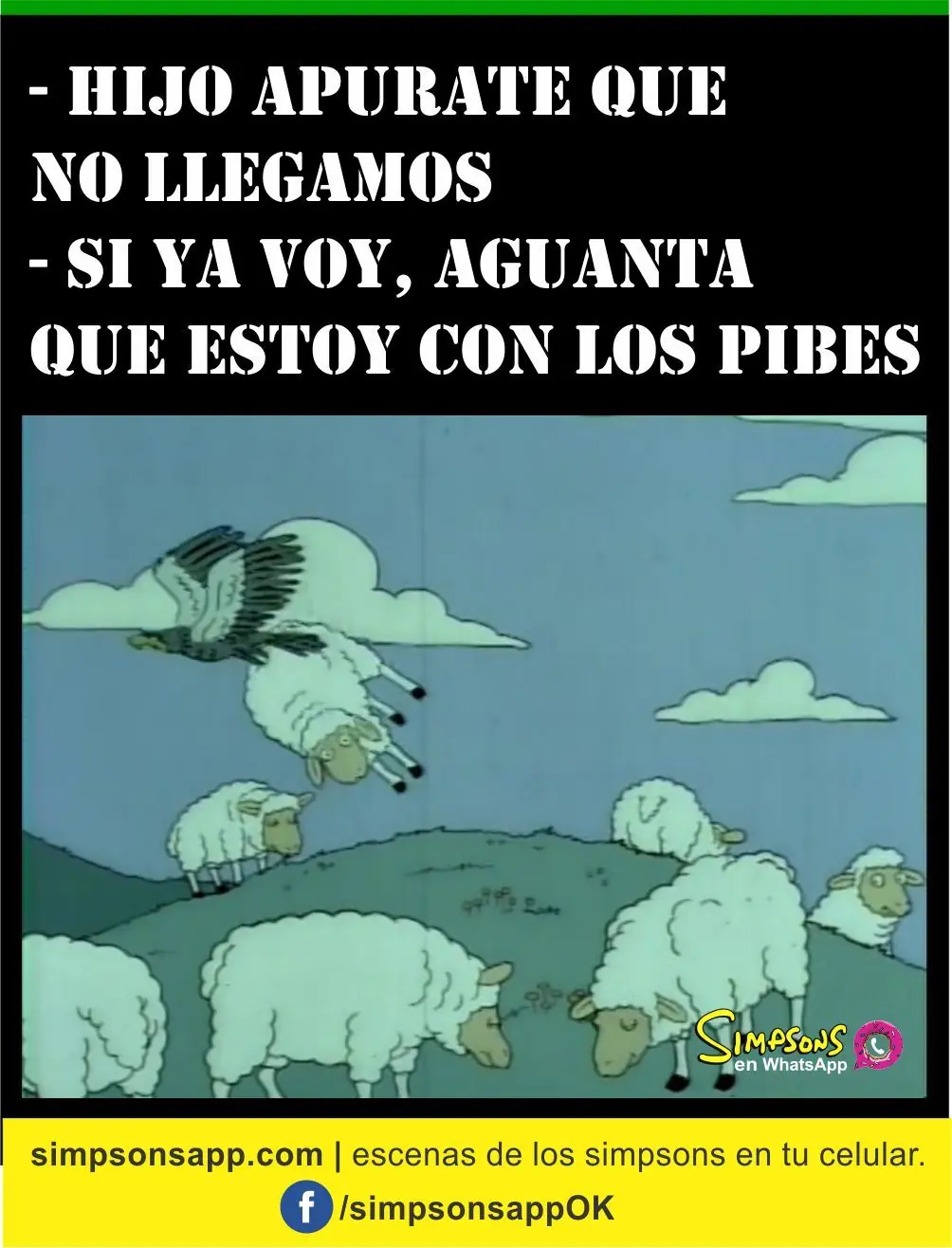 whatsapp whatsapp