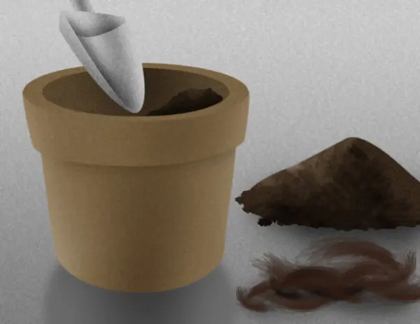 Como plantar arbol de paltas