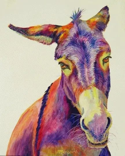 burro