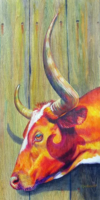vaca