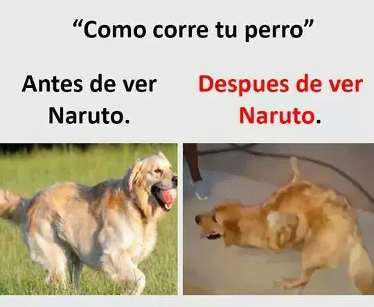 memes