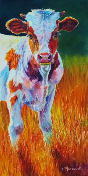 vaca