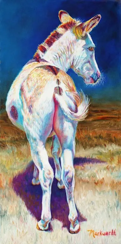 caballo